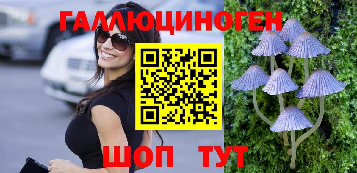 Галлюциногенные грибы Cubensis Верхняя Салда